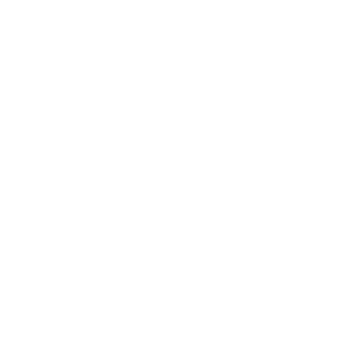 Sandor_logo_2024_white